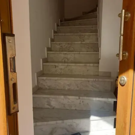 Sofia's